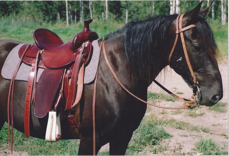 Trail Rider Smoothie